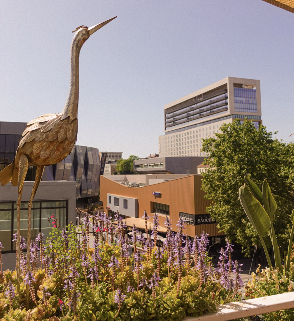 Rooftop of Darling Aviary in Downtown Sacramento, showcasing breathtaking skyline views and vibrant atmosphere